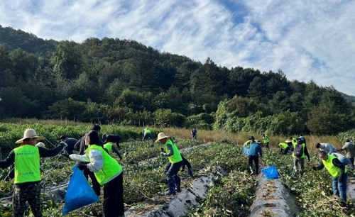 메인사진